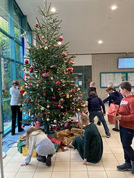 Foto vom Schmücken des Tannenbaums im Foyer des TGG (Dezember 2023)
