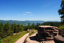 Foto vom Altkirch-Austausch (Juni 2017)