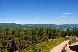 Foto vom Altkirch-Austausch (Juni 2017)