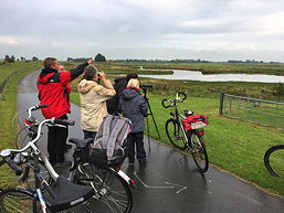 Foto von der Fahrt zum Polder Holter Hammrich am 18.09.2017