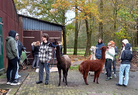 Foto von der Lama- und Alpaka-Tour des Spanisch-Kurses der Jahrgangsstufe 12 (November 2023).