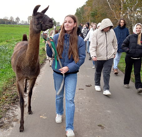 Foto von der Lama- und Alpaka-Tour des Spanisch-Kurses der Jahrgangsstufe 12 (November 2023).