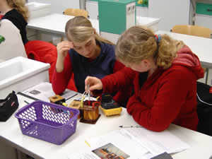 Schüler bei Versuchen