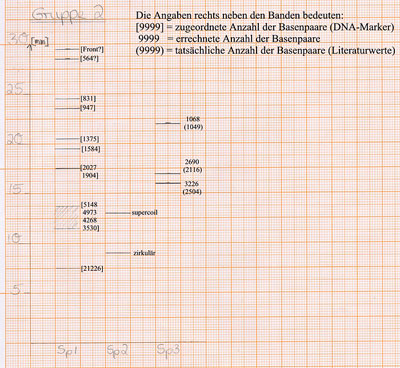 Versuchsauswertung