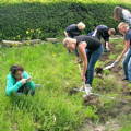 Foto vom Arbeitseinsatz in Ernst Pagels Garten