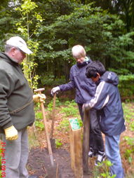 Foto vom Arbeitseinsatz der 8dn und 8g 2009/10 des TGG auf Gut Stikelkamp