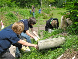 Foto vom Arbeitseinsatz der 8f 2009/10 des TGG für das Wallhecken-Umwelt-Zentrum