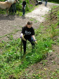 Foto vom Arbeitseinsatz der 8f 2009/10 des TGG für das Wallhecken-Umwelt-Zentrum