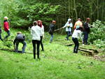 Foto von der Aktion im Heseler Wald