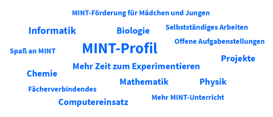 Grafik zum MINT-Profil
