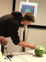 Foto vom einminimalinvasiven Eingriff an einer Melone