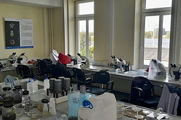 Foto eines Labors im Senckenberg-Institut (September 2023)
