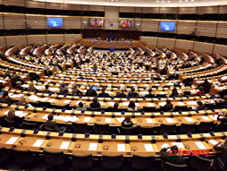 Im Europäischen Parlament